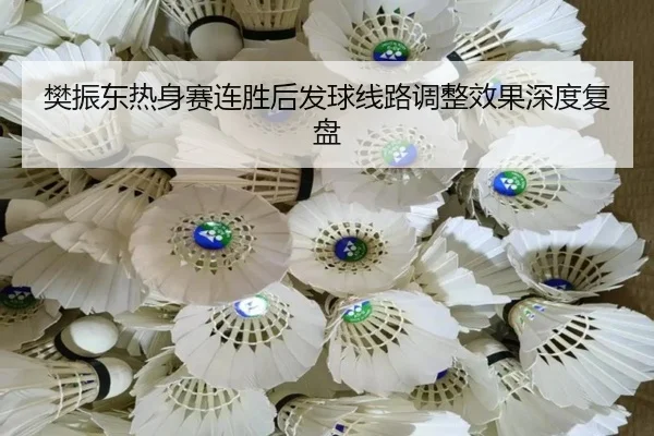 樊振东热身赛连胜后发球线路调整效果深度复盘